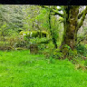 Meet your Posher, Corey